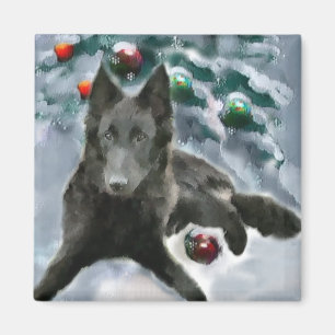Imã Presentes de Natal em Sheepdog Belgas