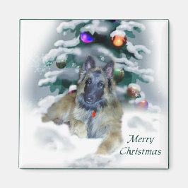 Imã Presentes de Natal em Tervuren na Bélgica