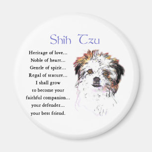 Imã Presentes de Shih Tzu Lovers
