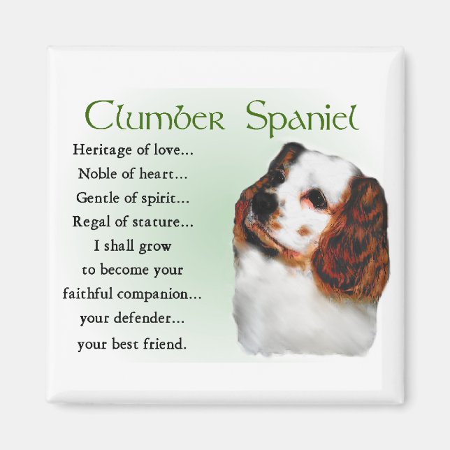 Imã Presentes do Clumber Spaniel (Frente)