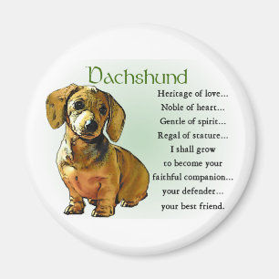Imã Presentes do Dachshund