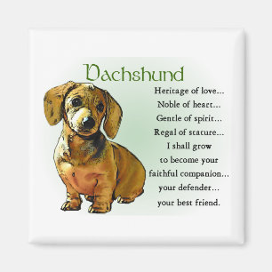 Imã Presentes do Dachshund