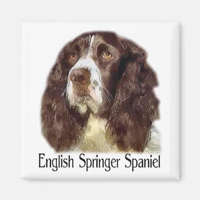 Imã Presentes do English Springer Spaniel (Frente)