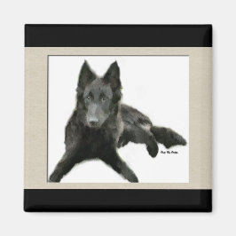 Imã Presentes do Groenendael Belgian Sheepdog