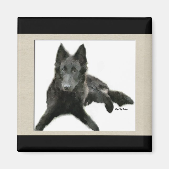 Imã Presentes do Groenendael Belgian Sheepdog (Frente)