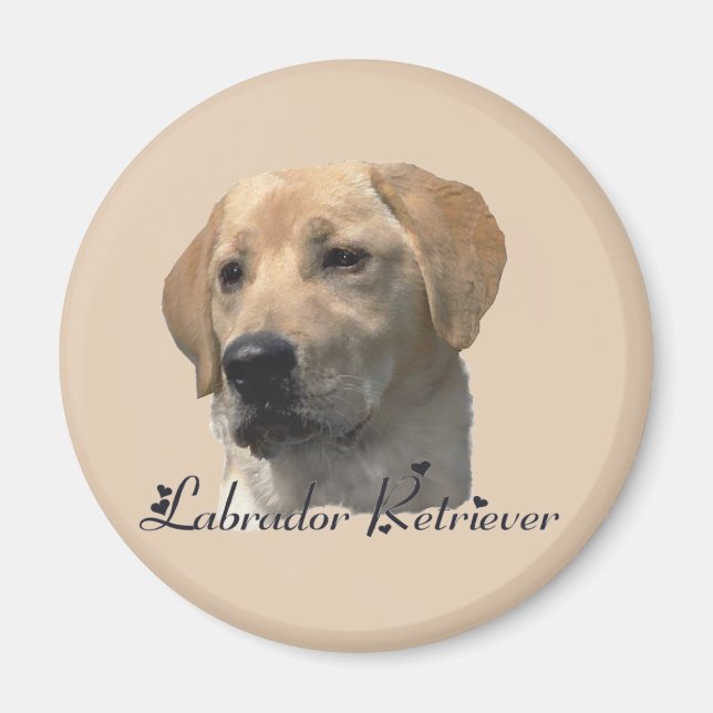Imã Presentes do Labrador Retriever (Frente)