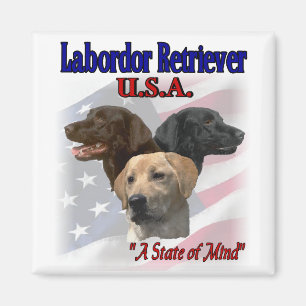 Imã Presentes do Labrador Retriever
