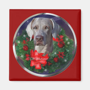 Imã Presentes do Natal de Weimaraner