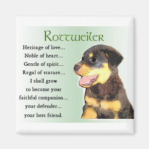 Imã Presentes dos amantes de Rottweiler