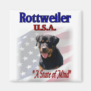 Imã Presentes dos Pés do Rottweiler