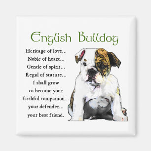 Imã Presentes ingleses do buldogue