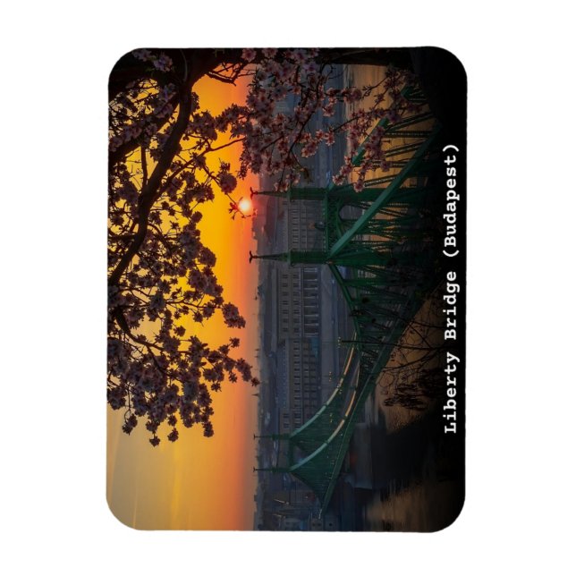 Ímã presentes ponte da liberdade vintage budapest hung (Vertical)