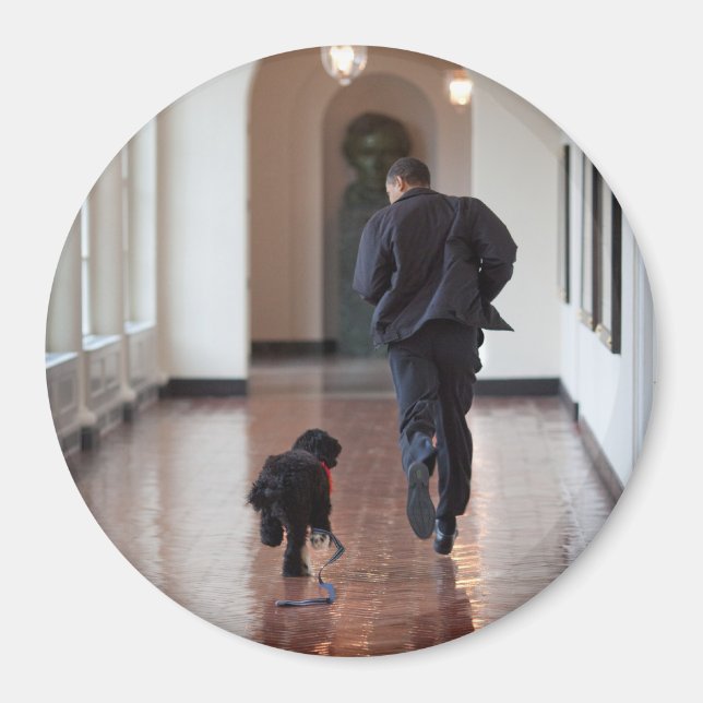 Imã Presidente Barack Obama e Bo (Frente)