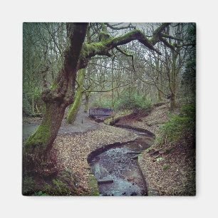 Imã Prestwich Clough Magnet