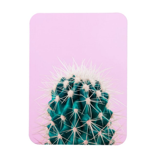 Ímã Prickley Cactus a Rosa (Vertical)
