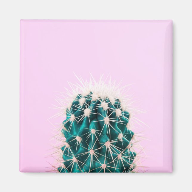 Imã Prickley Cactus a Rosa (Frente)