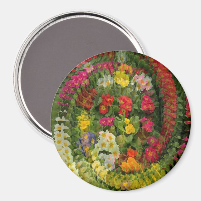 Imã Primárias da noite bonito... (Front/Back)