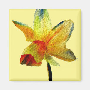 Imã Primavera