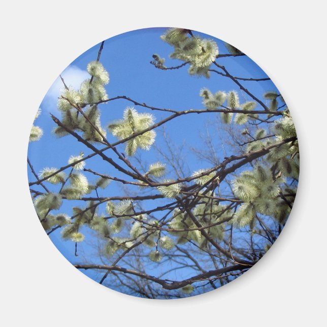 Imã Primavera (Frente)