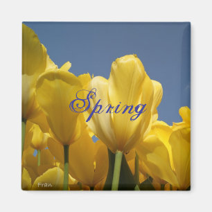Imã primavera