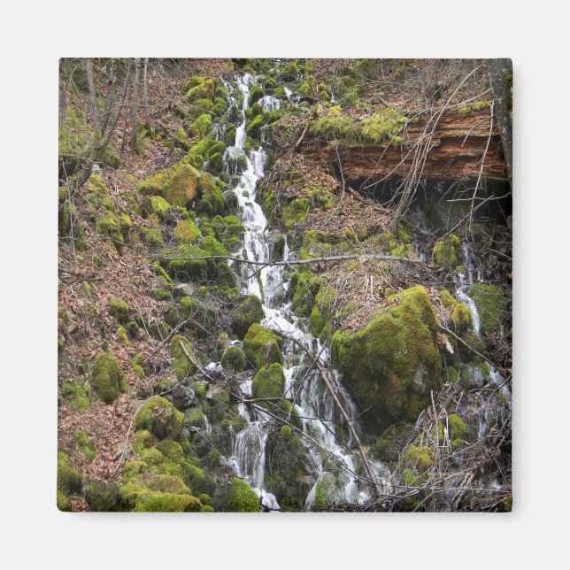 Imã Primavera.... (Frente)