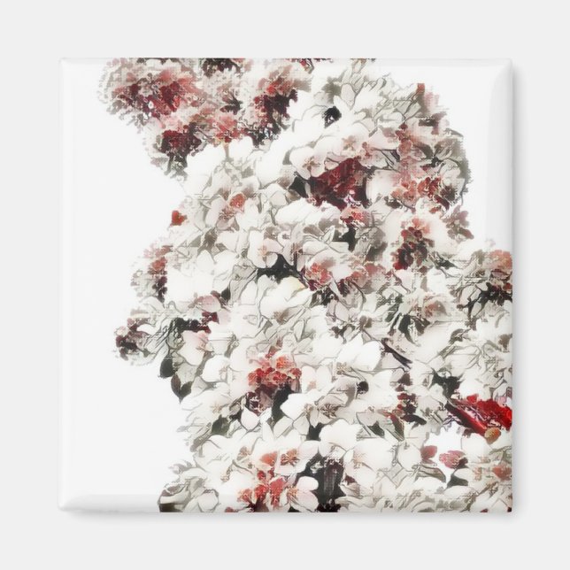 Imã Primavera (Frente)