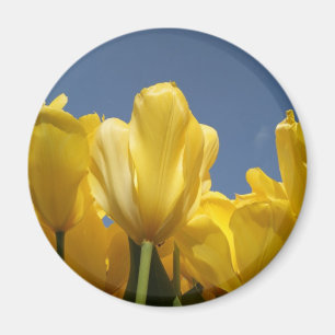 Imã primavera amarelo
