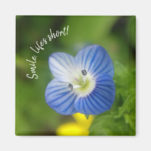 Imã primavera azul - ímã