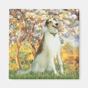 Imã Primavera - Borzoi