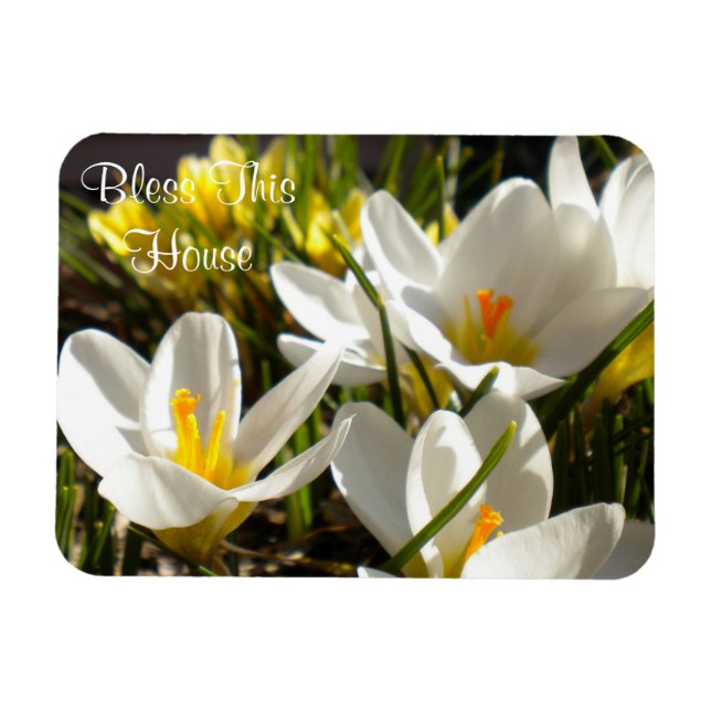 Ímã Primavera Crocus "Abençoe Esta Casa" Magnet (Horizontal)