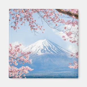 Imã Primavera do lago   mountain   Kawaguchiko de Fuji