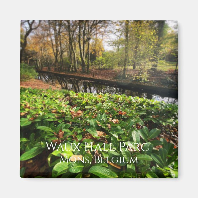 Imã Primavera em Waux Hall parc em Mons, Bélgica (Frente)