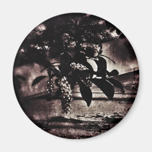 Imã Primavera escuro