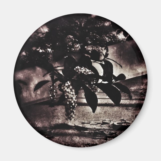 Imã Primavera escuro (Frente)