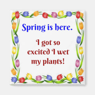 Imã Primavera está aqui.  Fiquei tão animado que mol