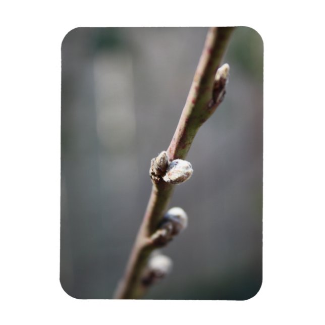 Ímã Primavera está chegando (Vertical)