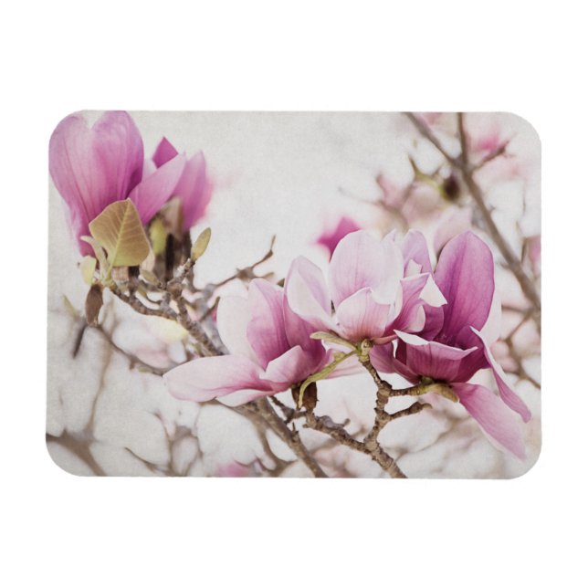 Ímã Primavera está no ar (Horizontal)