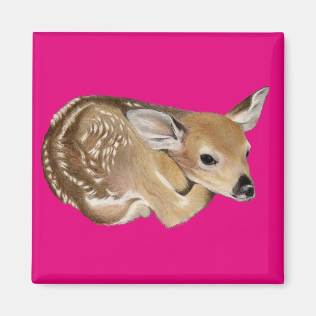 Imã Primavera Fawn (Frente)
