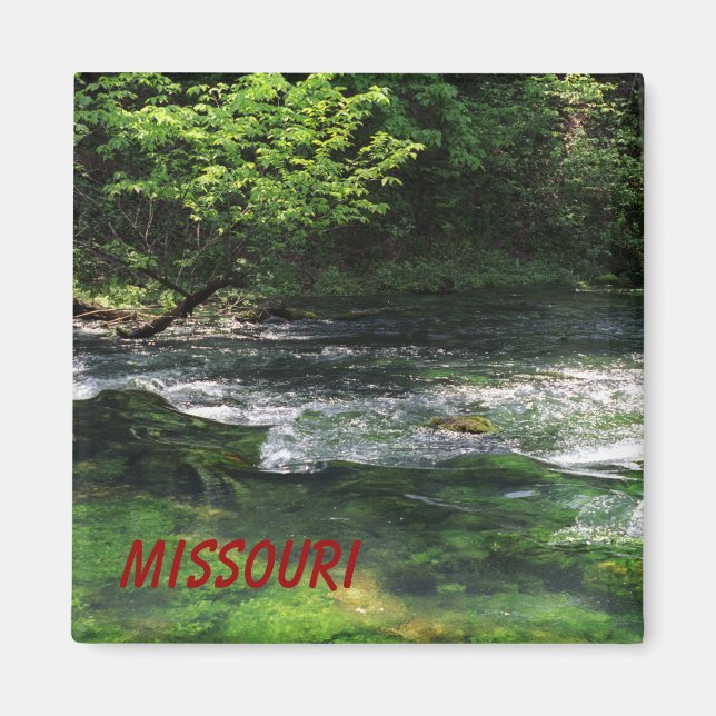 Imã Primavera Fluxos (Frente)