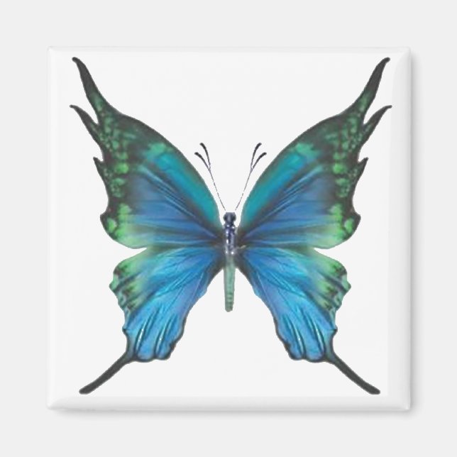 Imã Primavera Myst (Frente)