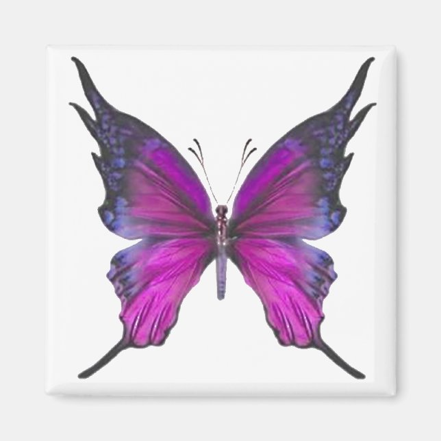 Imã Primavera Myst 3 (Frente)