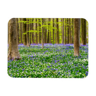 Ímã Primavera na Floresta Azul