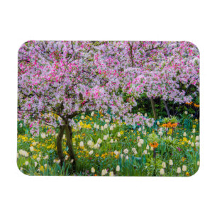 Ímã Primavera no jardim de Claude Monet