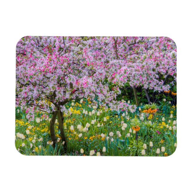 Ímã Primavera no jardim de Claude Monet (Horizontal)