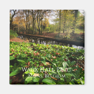 Imã Primavera no parque Waux Hall em Mons, Bélgica