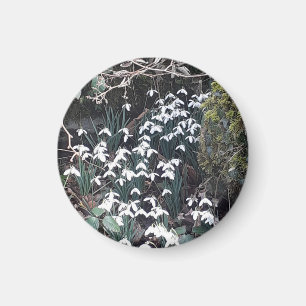 Imã Primavera Snowdrops Magnet