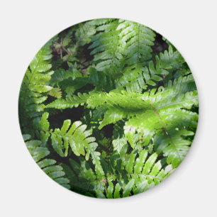Imã Primavera Verde-Ferns