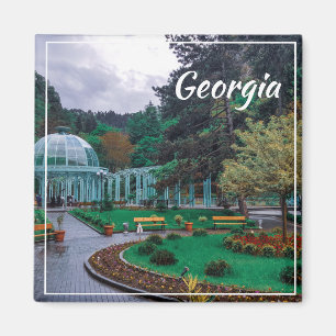 Imã Primaveras Quentes Borjomi Georgia Causam Montanha