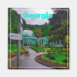 Imã Primaveras Quentes Borjomi Georgia Causam Montanha