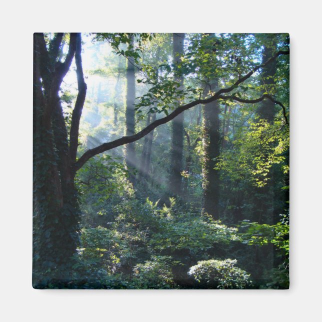 Imã Primeiro Magneto Leve (Frente)